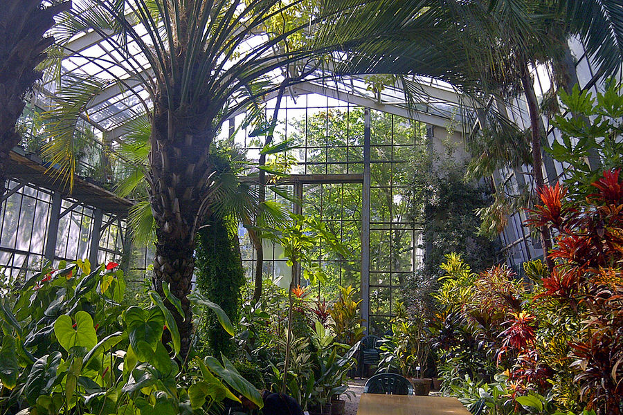 Heritage Greenhouses Hartley Botanic